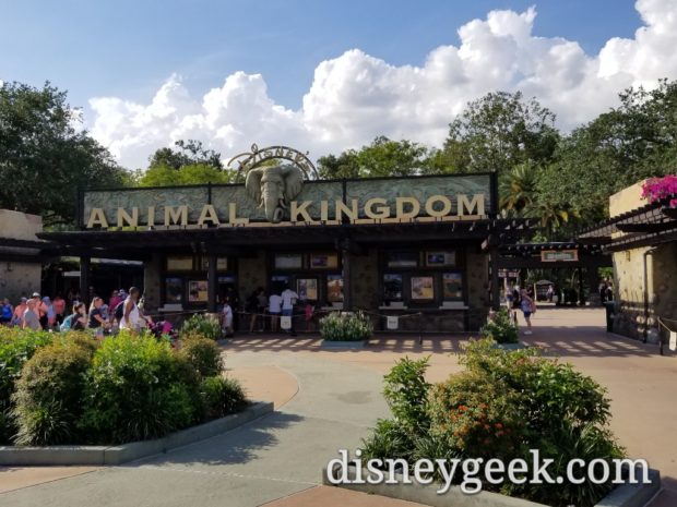 Returning to Disney's Animal Kingdom for the evening - The Geek's Blog