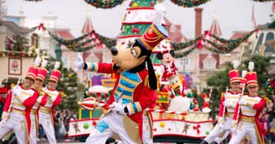 Disneyland Paris Christmas 2019