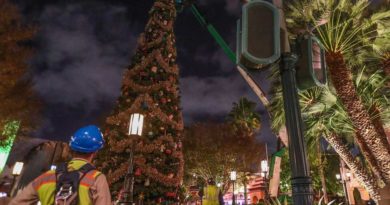 In preparation for the holidays at the Disneyland Resort, Cast Members put the finishing touches on the 50-foot-tall centerpiece Christmas Tree at Disney California Adventure Park in Anaheim, Calif., Nov. 6, 2018. (Joshua Sudock/Disneyland Resort)