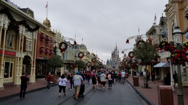 Arrived at Magic Kingdom as the park was opening - The Geek's Blog ...