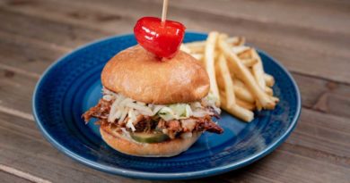 Brisket slider – shredded, smoked BBQ brisket piled on slider buns with apple slaw and pickle, served with french fries.