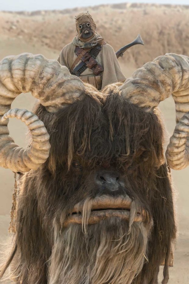 Tusken Raider and bantha in THE MANDALORIAN, season two, exclusively on Disney+