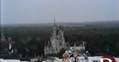 1994 Contempoary View - Cinderella Castle
