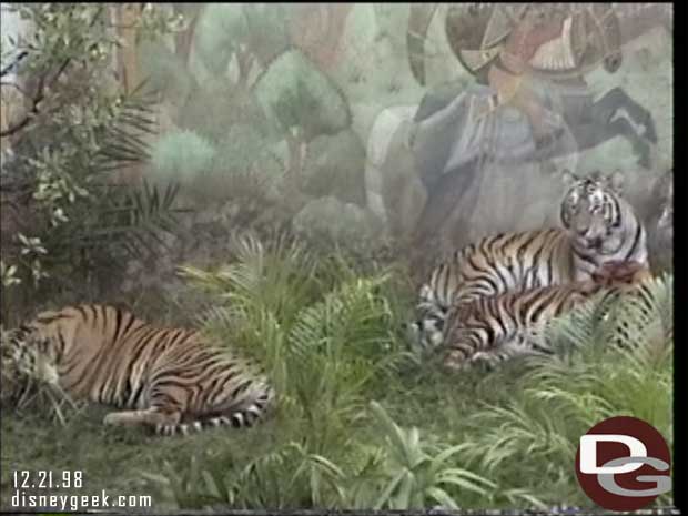 1998 Maharajah Jungle Trek Preview - Tigers