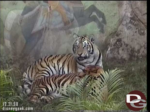1998 Maharajah Jungle Trek Preview -
