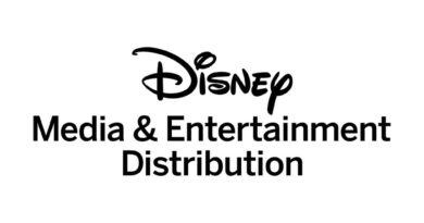 Disney Media & Entertainment Distribution