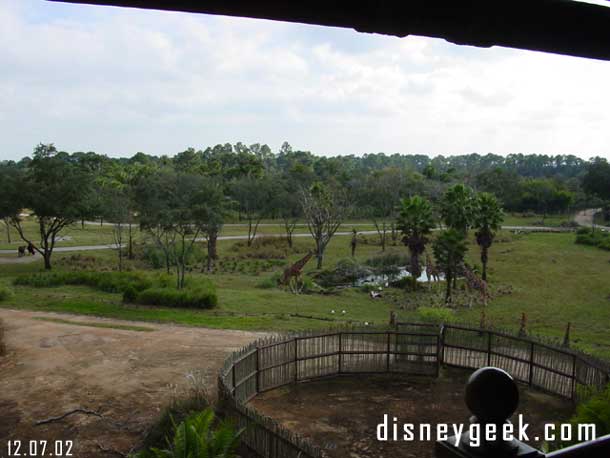 Disney's Animal Kingdom Lodge - Savanna Room View - December 2002