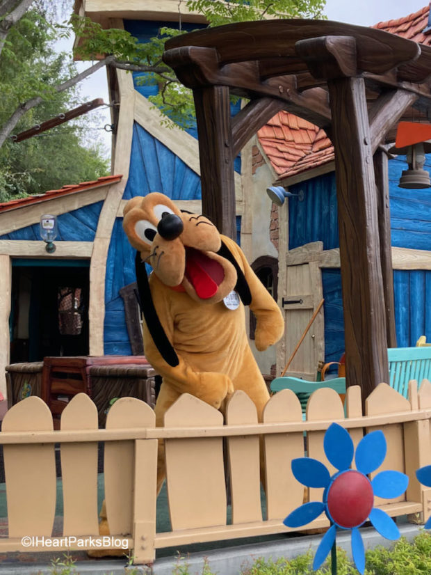 Disneyland - Pluto