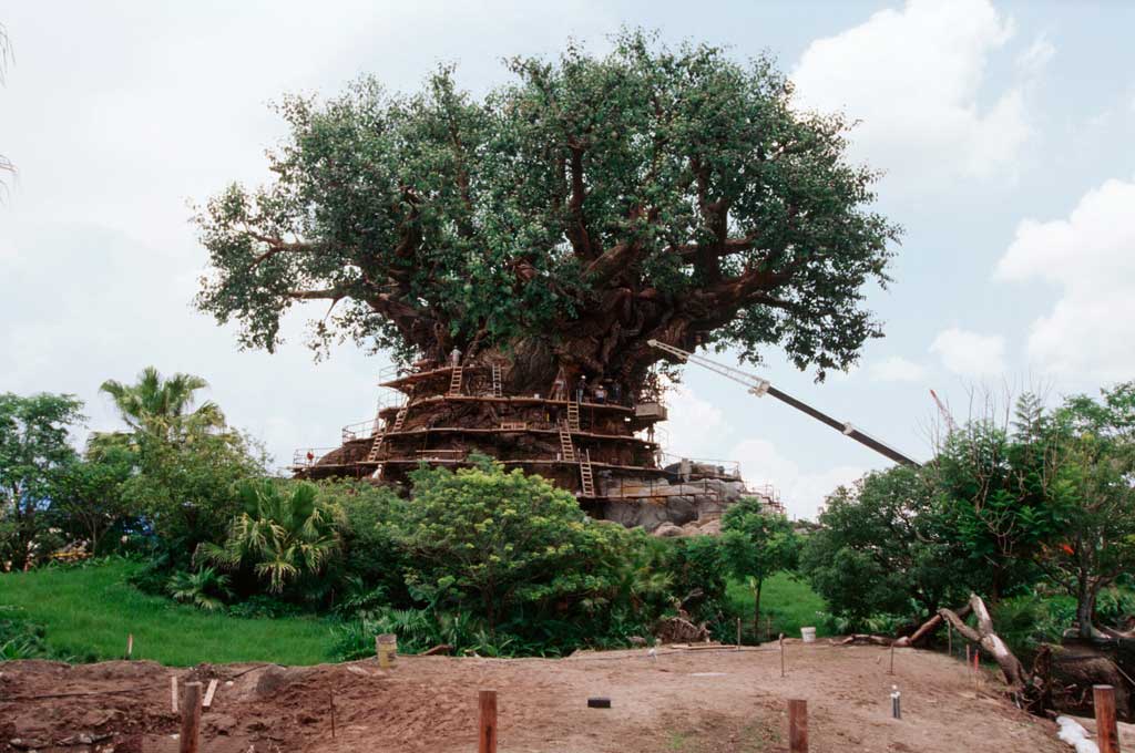 60d5317d0a81f WDW 50 Tree of Life Construction 5 scaled 1