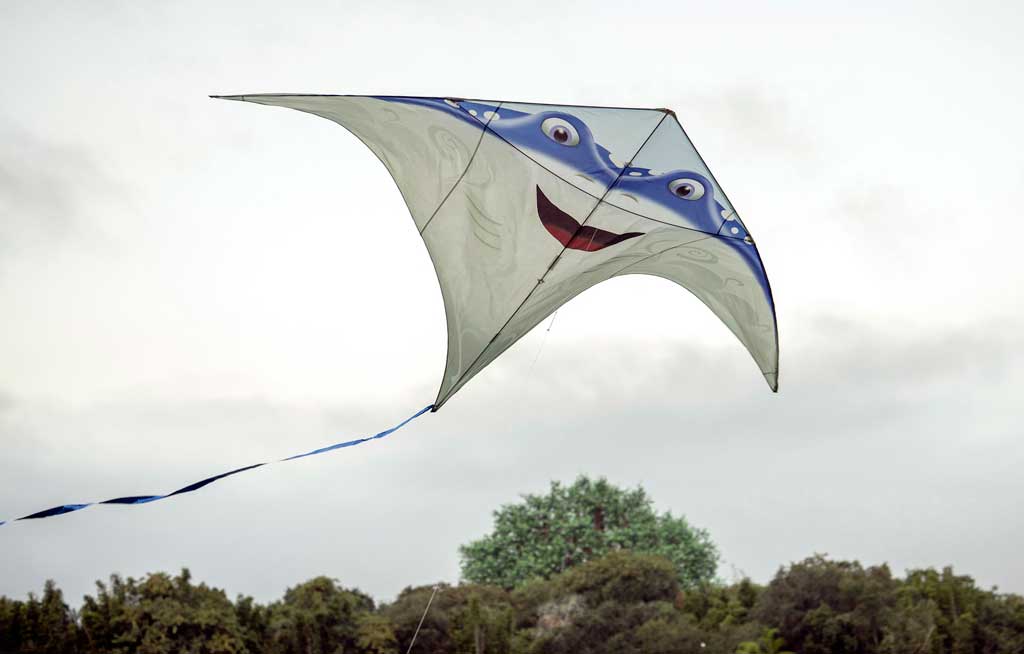 New daytime entertainment is stirring at Disney’s Animal Kingdom Theme Park, as “Disney KiteTails” comes alive several times daily beginning Oct. 1, 2021, at Walt Disney World Resort in Lake Buena Vista, Fla. Performers fly windcatchers and kites of all shapes and sizes, while out on the water elaborate three-dimensional kites – some stretching to 30 feet long – depict Disney animal friends, including Simba, Zazu, Baloo and King Louie. These colorful creations dance through the sky to the beat of favorite Disney songs in an uplifting, vibrant experience for the whole family. (Kent Phillips, photographer)