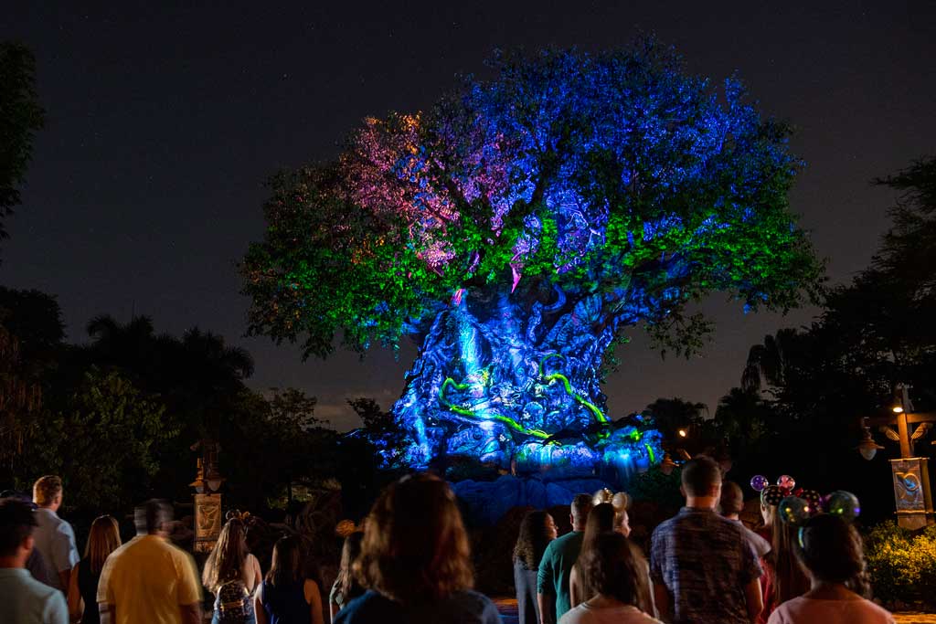 A warm light emanates from the Tree of Life when it transforms into a Beacon of Magic at Disney’s Animal Kingdom Theme Park at Walt Disney World Resort in Lake Buena Vista, Florida, as part of the resorts 50th anniversary celebration. (David Roark, photographer)