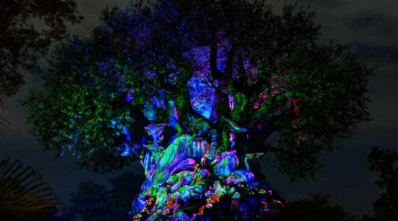 A warm light emanates from the Tree of Life when it transforms into a Beacon of Magic at Disney’s Animal Kingdom Theme Park at Walt Disney World Resort in Lake Buena Vista, Florida, as part of the resorts 50th anniversary celebration. (David Roark, photographer)