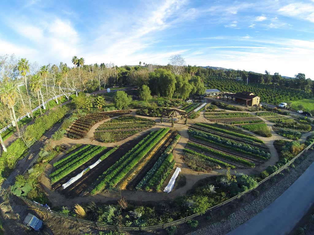 The market garden at Apricot Lane Farms contains over 100 fruit and vegetable varieties, as well as native plant habitats. The garden is also a certified wildlife habitat. (Apricot Lane Farms)