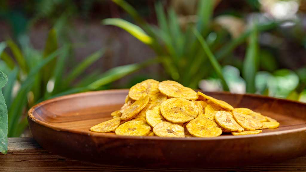 Celebrate Soulfully Food & Beverage –Salted Plantain Chips