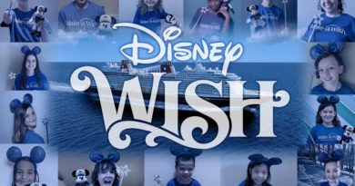 Disney Wish - Make a Wish Godchildren