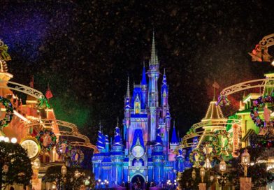 Walt Disney World Holiday 2022 Details