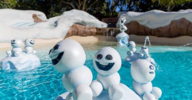 Disney's Blizzard Beach Water Park reopens to guests on Nov. 13, 2022 offering arctic adventures and new touches from the Walt Disney Animation Studios film, Frozen at Walt Disney World Resort in Lake Buena Vista, Fla. (Courtney Kiefer, photographer)