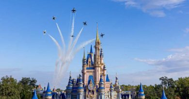 U.S. Air Force Thunderbirds fly over Cinderella Castle at Magic Kingdom Park at Walt Disney World Resort in Lake Buena Vista, Fla., Oct. 27, 2022, as a prelude to the beginning of National Veterans and Military Families Month in November. (Courtney Kiefer, Photographer)
