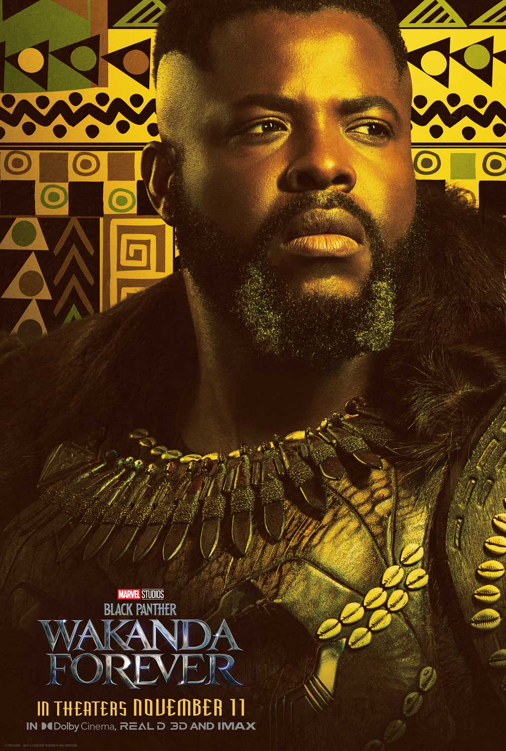 Black Panther: Wakanda Forever - Character Poster