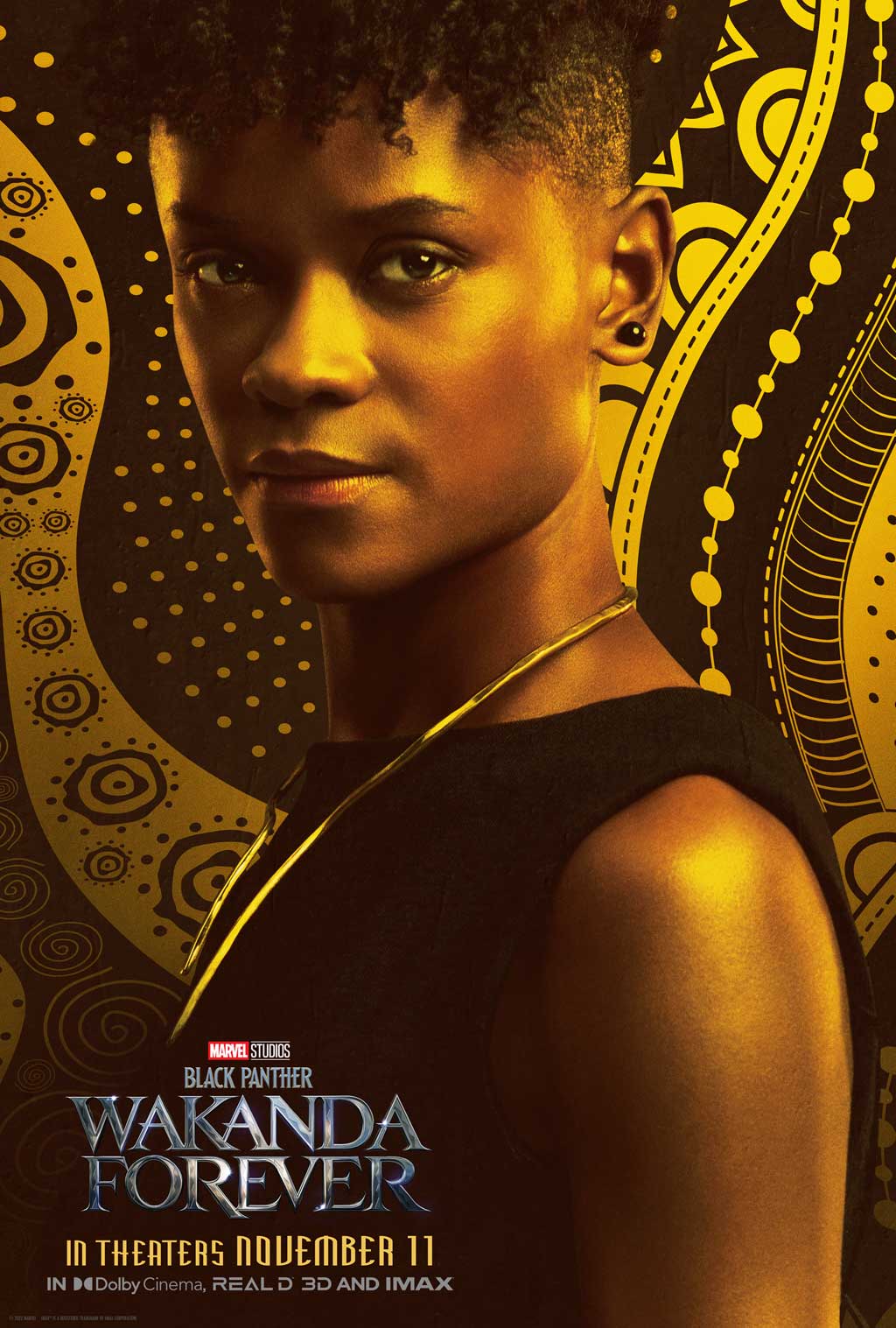 Black Panther: Wakanda Forever - Character Poster