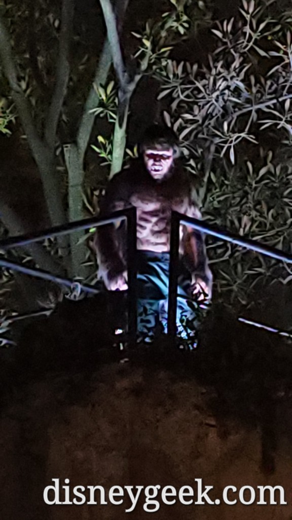 Creepy Werewolf By Night Spotted At Avengers Campus At Disney California  Adventure – Deadline