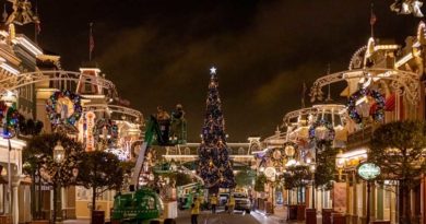 Walt Disney World - Magic Kingdom - Christmas Decoration Installation