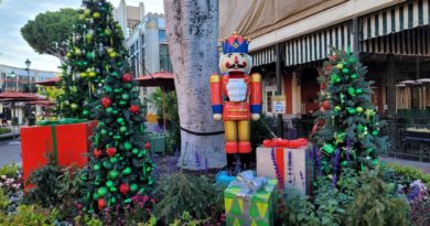 Pictures: Downtown Disney Christmas Decorations