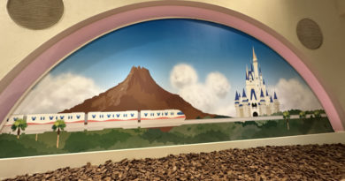 tdr mural train