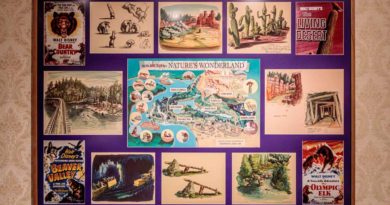 Preview: The Disney Gallery Presents: Disney 100 Years of Wonder (Disney Images)