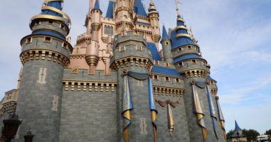 Pictures: Some Sights from the Walt Disney World Railroad at the Magic  Kingdom - The Geek's Blog @ disneygeek.com