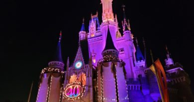 Picture & Videos: Cinderella Castle at Tokyo Disneyland