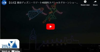 Tokyo Disneyland Drone Show