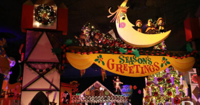 Pictures & Video: Disneyland it’s a small world Holiday