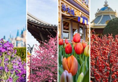 Shanghai Disney Resort Spring Festivities (March 6 – May 31, 2024)