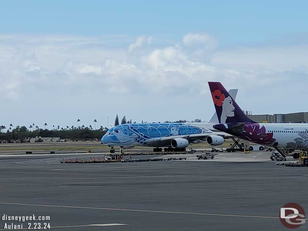 An ANA Airbus 380 - Flying Turtle 