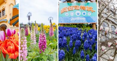 Celebrate Earth Month and Enjoy Spring Flowers at Shanghai Disney Resort