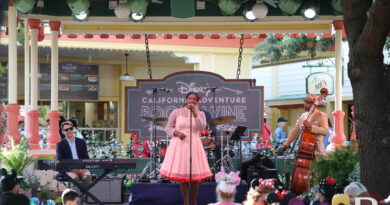 Mel and Friends at Paradise Gardens Bandstand