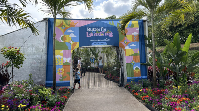 butterfly landing entrance2