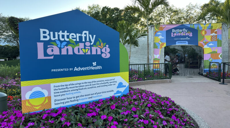 butterfly landing entrance3