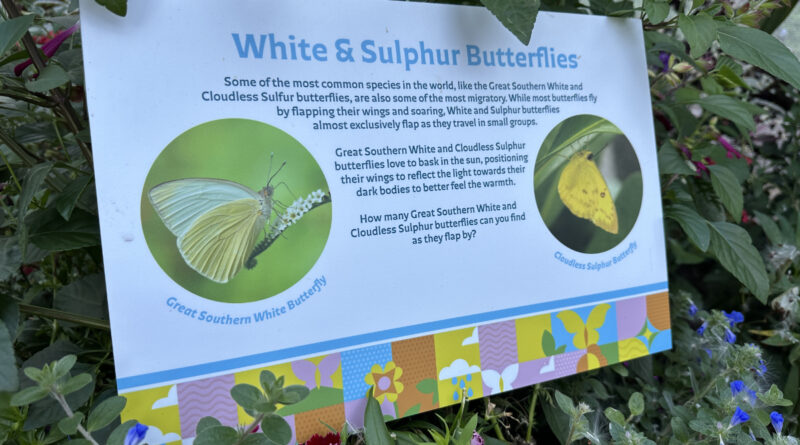 butterfly landing whitesulfur sign