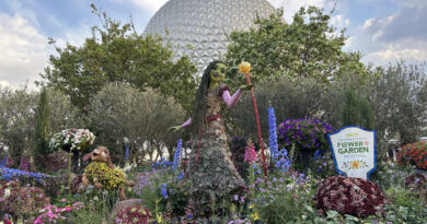 Guest Pictures: Topiaries at EPCOT International Flower & Garden 2024 Festival