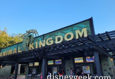 Starting my day at Disney’s Animal Kingdom