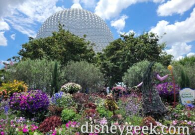 Arriving at EPCOT