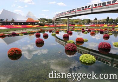 Pictures: An Early Afternoon Visit to Epcot