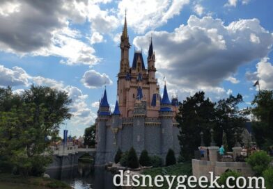 Pictures: An Afternoon Visit to the Magic Kingdom