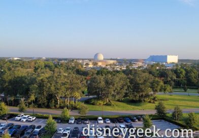 EPCOT this morning from Riviera
