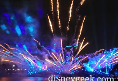 Pictures: Luminous the Symphony of Us at EPCOT