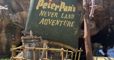 disneysea fantasysprings peterpan