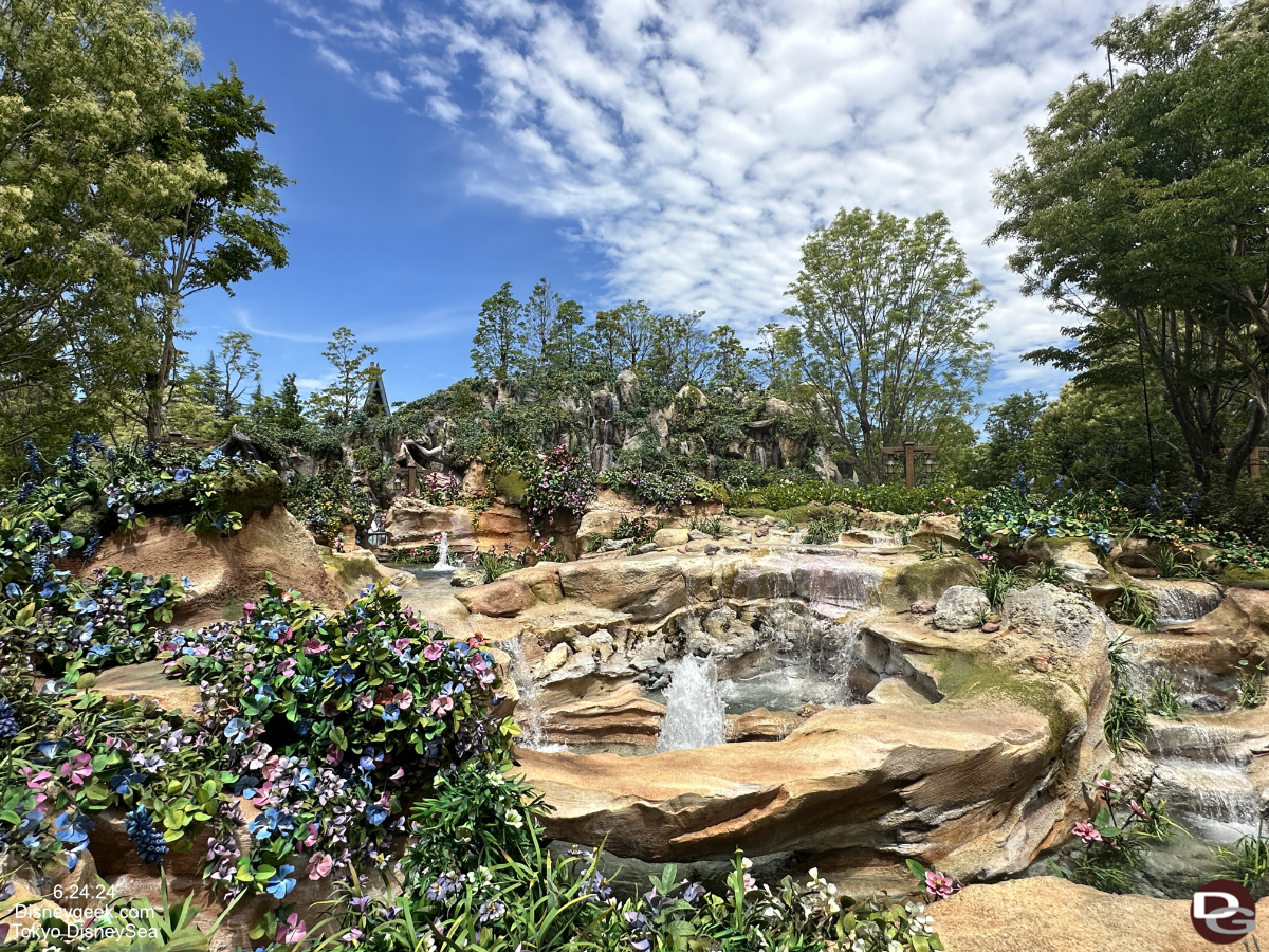 disneysea fantasysprings rock flowers