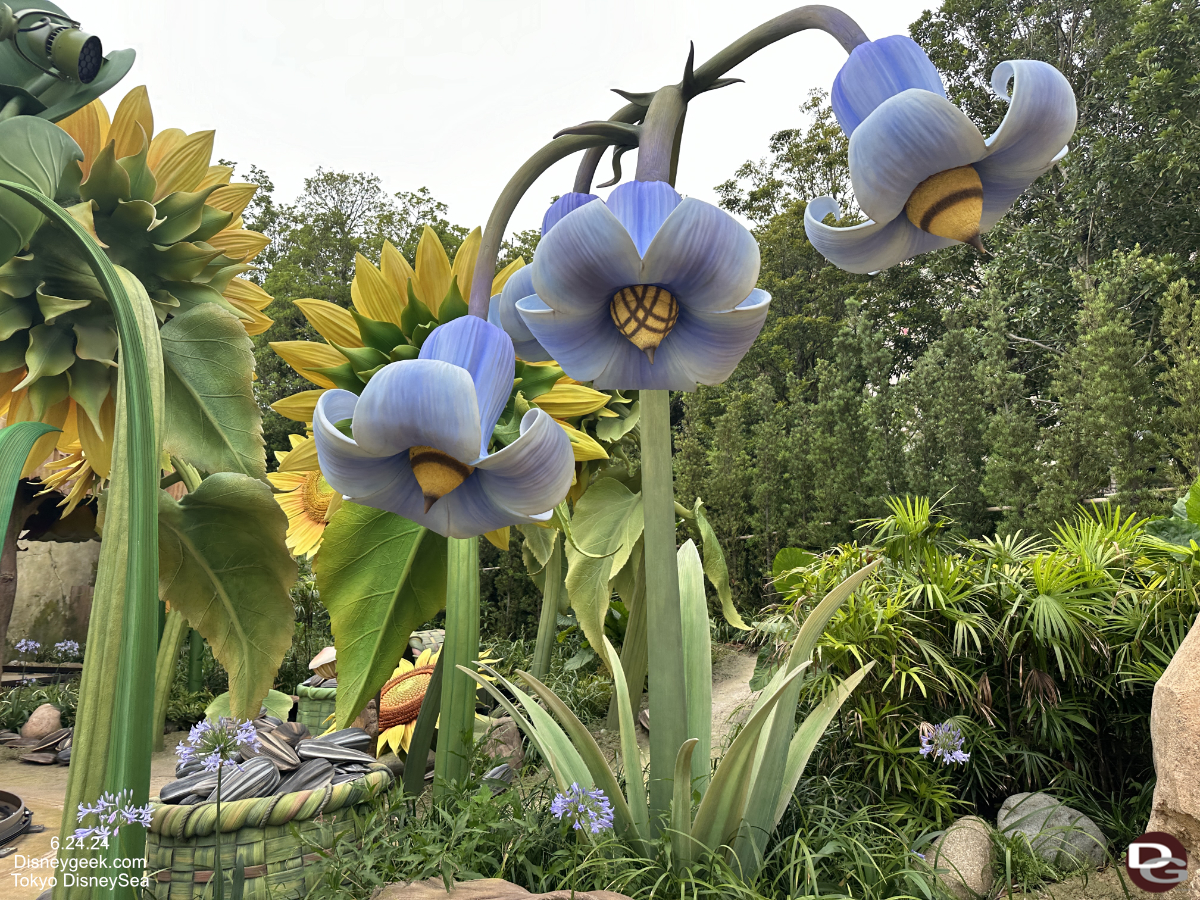 disneysea tinkerbell blueflower